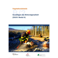 B/2 Grundlagen der Motorsägenarbeit (DGUV: Modul A)