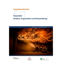 E/1 Struktur, Organisation und Einsatzleitung